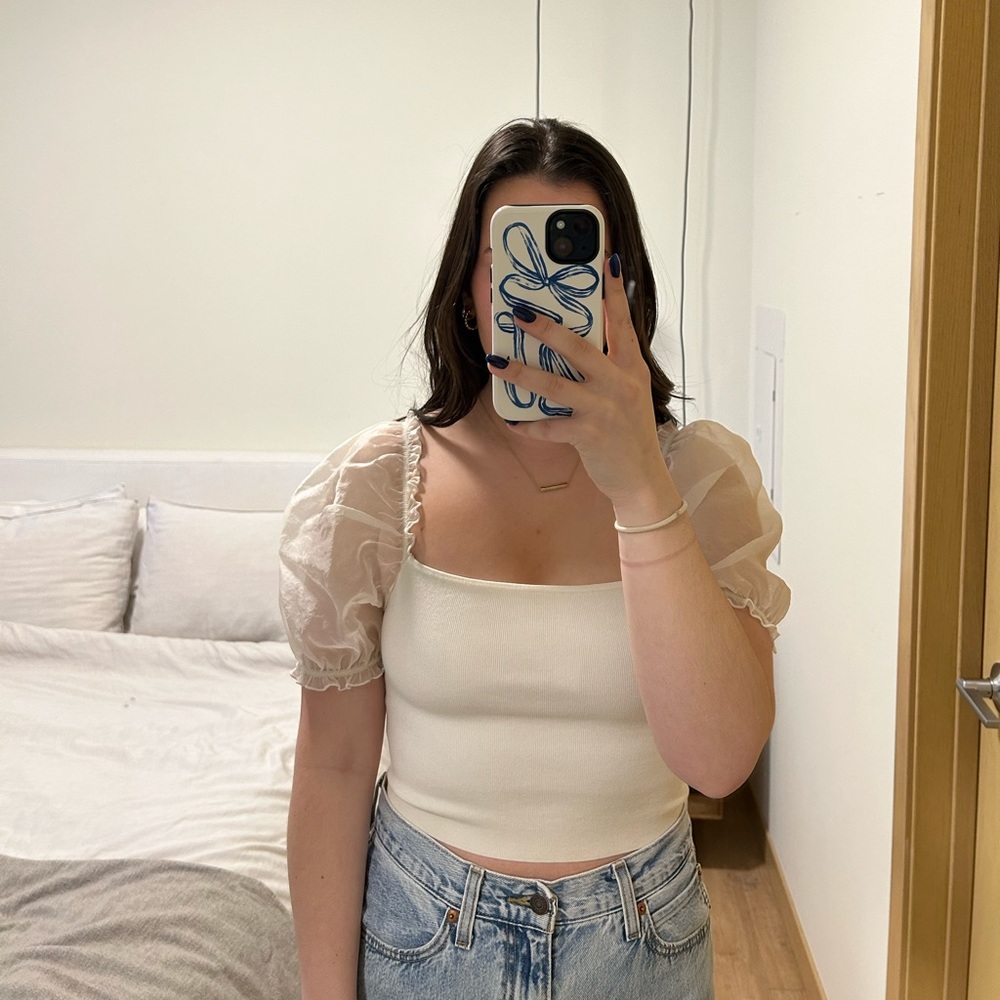 aritzia wilfred sheer sleeve top